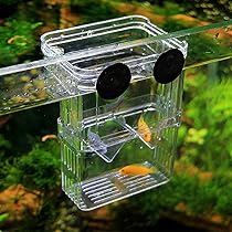 Petzilla PBI-1 Aquarium Fish Breeder Box for Hatchery (Large, 3.94