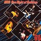 One Night At Budokan