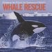 Whale Rescue: Changing the Future for Endangered Wildlife (Firefly Animal Rescue)