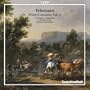 Telemann: Wind Concertos, Vol. 2