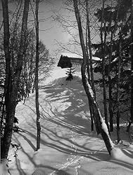 Animal Tracks in the Snow, Alaska, 1916 Photograph - Beautiful 16"x20" Photographic Print from the Library of Congress Collection