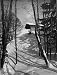 Animal Tracks in the Snow, Alaska, 1916 Photograph - Beautiful 16"x20" Photographic Print from the Library of Congress Collection