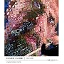 Chuck Close: Work