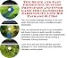 The Quick and Easy Promotion, Success Principles and Inner Game for Chandelier Earrings On-line Biz Package (3 CDs)