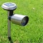 Super Bright Long Life Wireless Stainless Steel 2 LED Solar Spot Garden Light St237