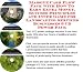The Secret Make An Extra Income, Marketing and Inner Game for Landscaping Services On-line Biz Package (3 CDs)