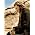 Thumbnail image of Newton Faulkner