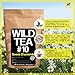Sweet Chamomile Loose Leaf Herbal Tea, Organic Whole Chamomile Flowers, Wild Tea #10 by Wild Food (2 ounce)