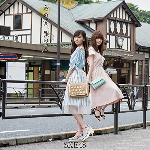 金の愛、銀の愛(DVD付)(Type-D:通常盤) SKE48