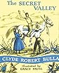The Secret Valley (Trophy Chapter Book)