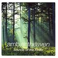 Ambient Heaven - Sounds of the Forest