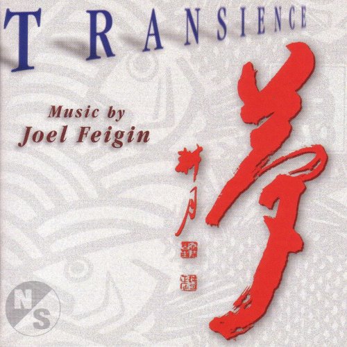Buy Feigin: Transience From amazon