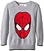 Marvel Boys' Spiderman Boys Sweater