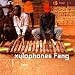 Collection Prophet-Gabon 17 Xylophones Du Pays Fan picture