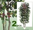 TWO 7' Very Full Capensia Ficus REAL WOOD TRUNKS Artificial Trees each with approx. 1134 leaves