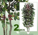 TWO 7' Very Full Capensia Ficus REAL WOOD TRUNKS Artificial Trees each with approx. 1134 leaves