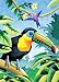 Mini Colour Pencil By Number Kit 5x7-tropical Bi