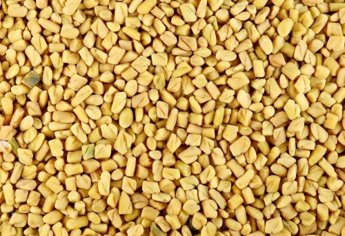 FENUGREEK SEEDS / WHOLE FENUGREEK COOKING ASIAN HERBS AND SPICES 100g FENUGREEK SEEDS / WHOLE FENUGREEK COOKING ASIAN HERBS AND SPICES 100g picture