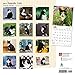 Tuxedo Cats 2017 Calendar