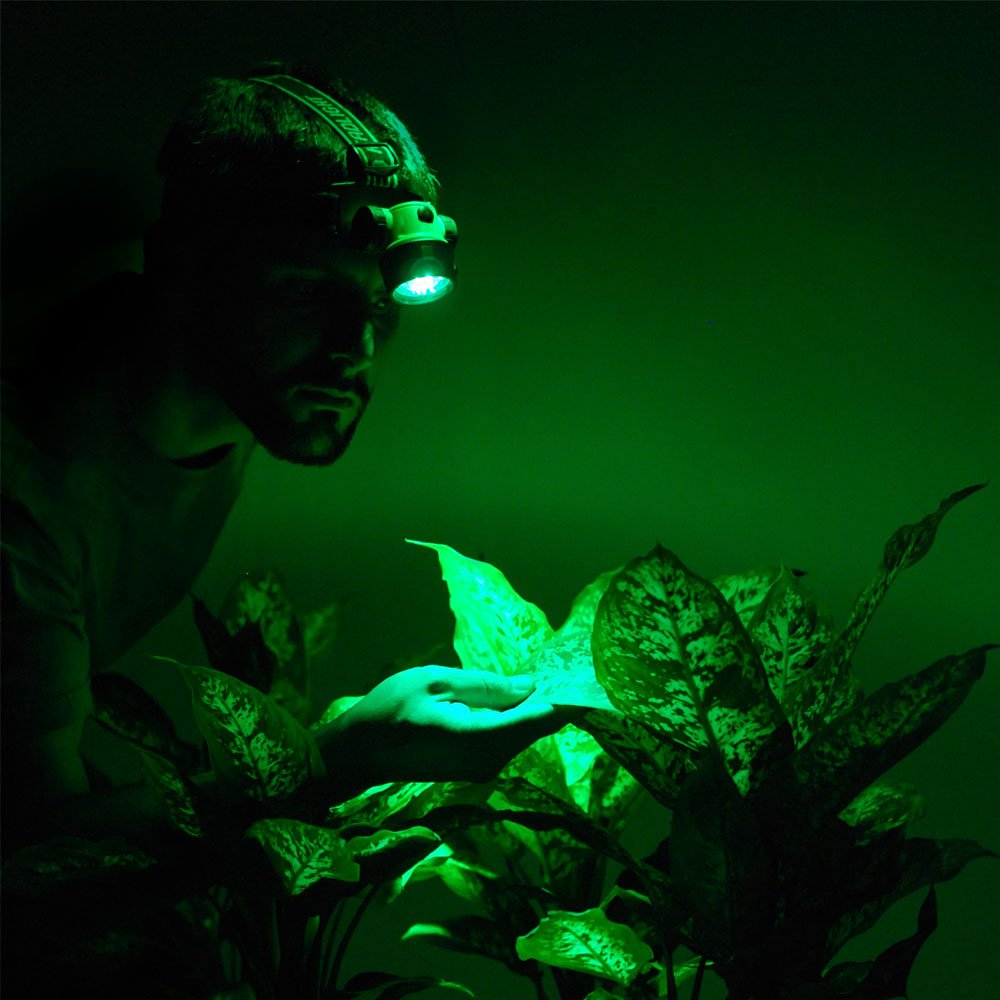 Outdoor Headlamp Light Lightweight Green LED Spotlamp Flashlight Night