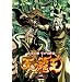 ~�k�l�̌����I�E�O�`~ �V�̔e�� ��� [DVD]
