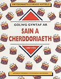 Golwg gyntaf ar sain a cherddoriaeth
