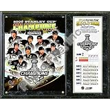 Photo File Pittsburgh Penguins 2009 Stanley Cup Champions Team Composite Photo Plaque