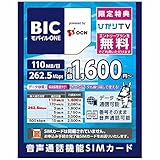 OCN SIMカード後日配送 ［LTE対応・データ通信／音声通話（SMS機能付き）］ BIC モバイル ONE 【ビックカメラグループオリジナル】