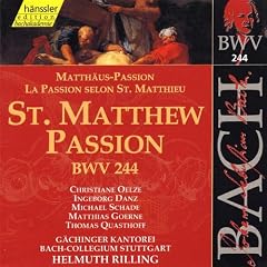 St. Matthew Passion, BWV 244: Recitative: Ja freilich will in uns das Fleisch und Blut (Bass)