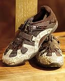 Animal embossed sneaker
