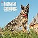 2017 Monthly Wall Calendar - Australian Cattle Dogs