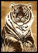 Animal Area Rug, Home Dynamix Zone Tiger
