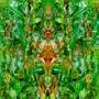 Emerald Aether: Shape Shifting - Reconstructions