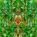 Emerald Aether: Shape Shifting - Reconstructions