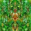 Emerald Aether: Shape Shifting