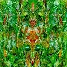 Emerald Aether: Shape Shifting/Reconstructions Of Irish Music