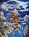Noah's Ark I Art Poster Print by Bill Bell, 16x20