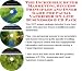 The Incredible Super Marketing, Success Principles and Inner Game for Facial Vaporizer On-line Businesses 3 CD Pack