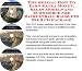 Book The Special How To Earn Extra Money, Sales Models and eCommerce for Racquetball Racquets Biz 3 CD Package
