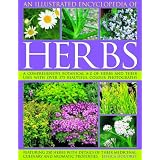 An Illustrated Encyclopedia of Herbs: A comprehensive A-Z of herbs and their uses with 700 color photographsby Jessica Houdret