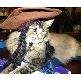 Jack Sparrow Halloween Pet Costume