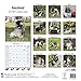 Keeshond Calendar - Breed Specific Keeshond Calendar - 2016 Wall calendars - Dog Calendars - Monthly Wall Calendar by Avonside