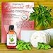 Real Peppermint Essential Oil :: Pure Undiluted (1oz)