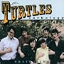 Solid Zinc: The Turtles Anthology