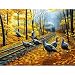 Turkey Tracks 500pc Jigsaw Puzzle by Dan Christ