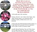 Book The Guerilla Marketing, Building Effective Lead Capture Web Pages, SIVA Marketing for Exterior Auto Accessories Businesses