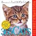 365 Cats Page-a-Day 2012 Calendar (Page a Day Calendar)