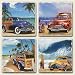 61lanJhQdFL. SL75  Beach Cruiser