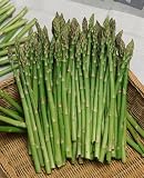 Mary Washington Asparagus Seeds - Asparagus Officinalis - 2 Grams - Approx 120 Gardening Seeds - Vegetable Garden Seed