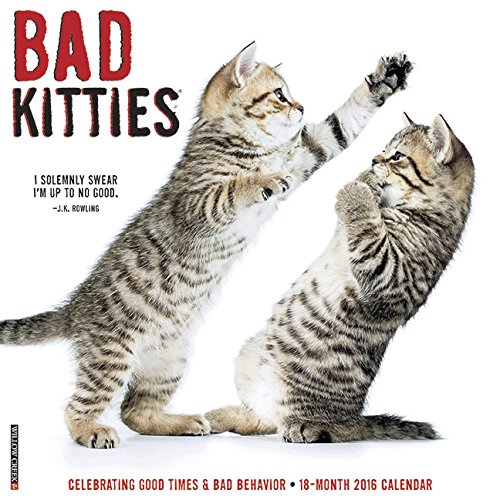 2016 Bad Kitties Wall Calendar